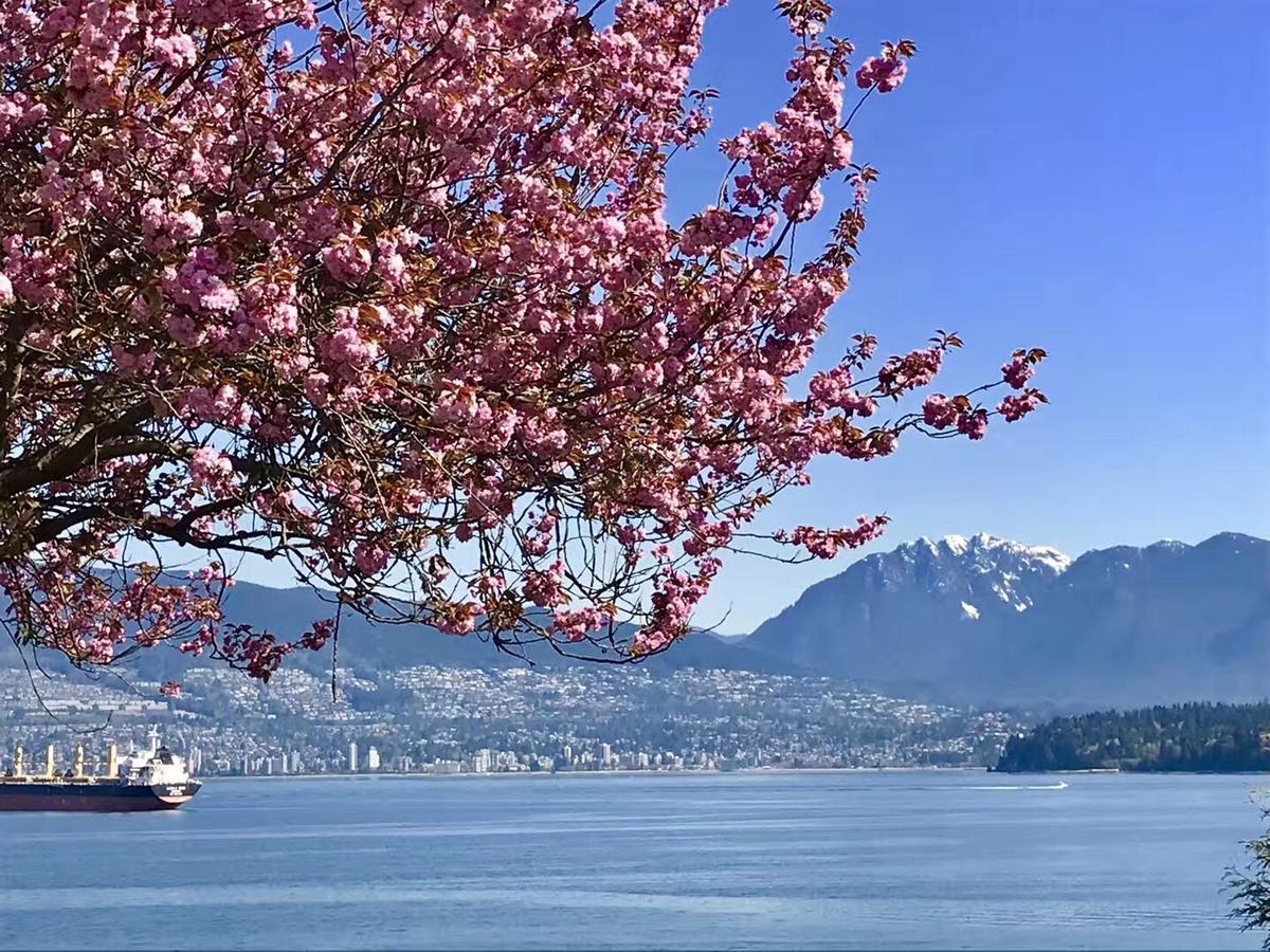 The Sunshine House-Free Parking Bed and Breakfast Vancouver Eksteriør billede