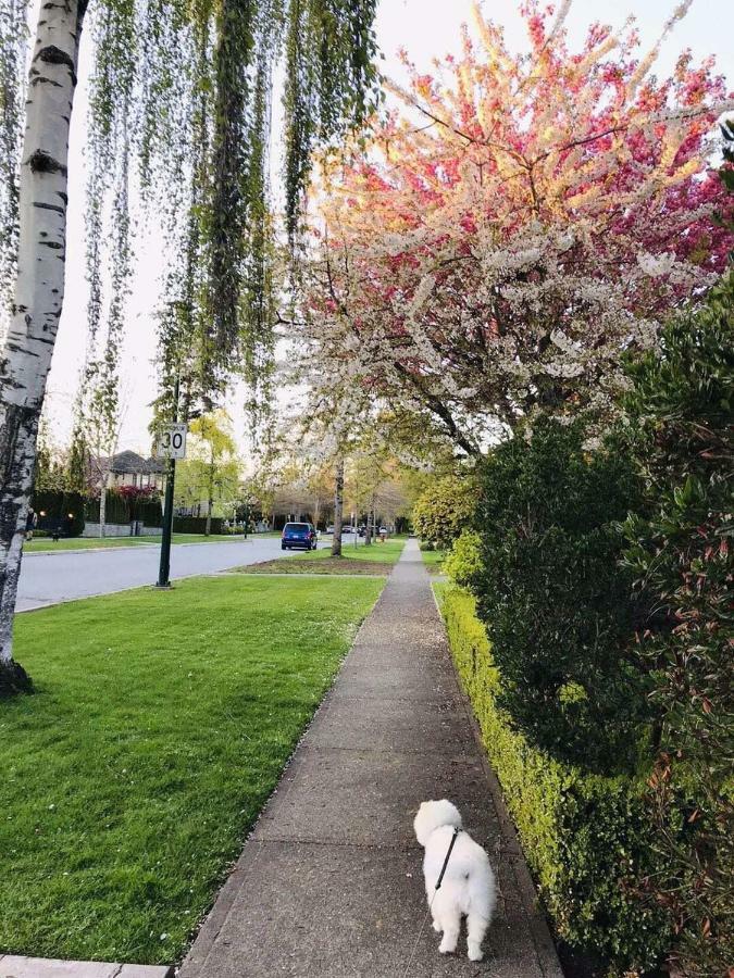 The Sunshine House-Free Parking Bed and Breakfast Vancouver Eksteriør billede