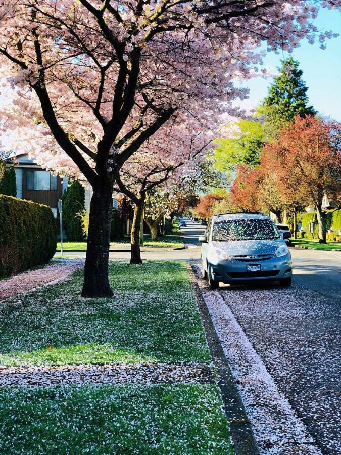 The Sunshine House-Free Parking Bed and Breakfast Vancouver Eksteriør billede