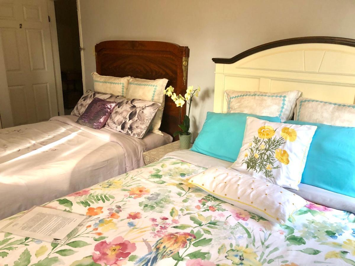 The Sunshine House-Free Parking Bed and Breakfast Vancouver Eksteriør billede